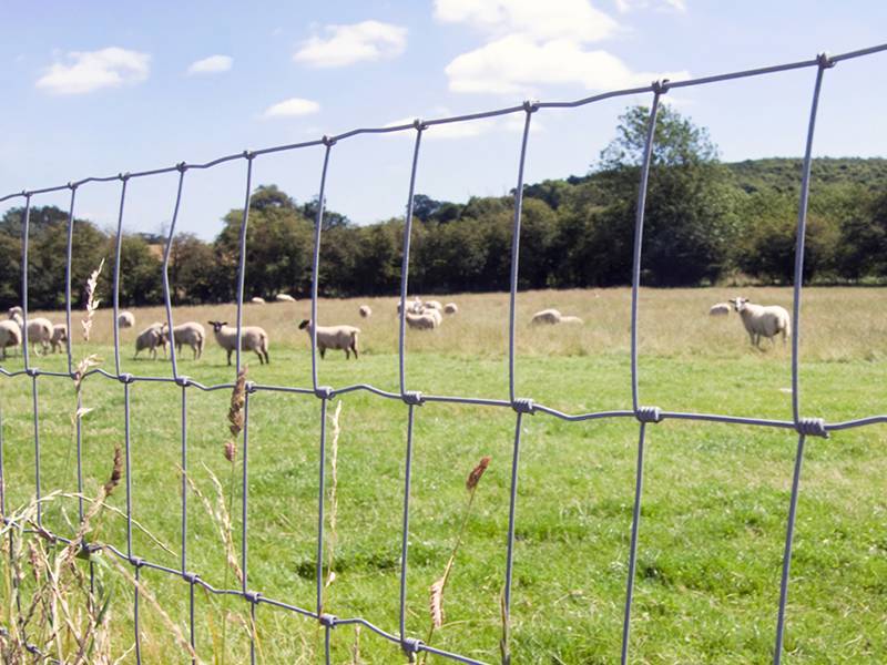 Field Fence